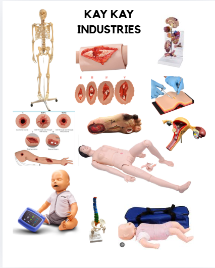 Medical Models And Manikins